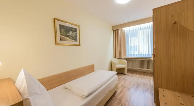 Одноместный номер Hotel Windsor