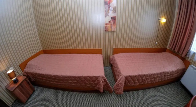 Двухместный номер Standard Rodopi Hotel