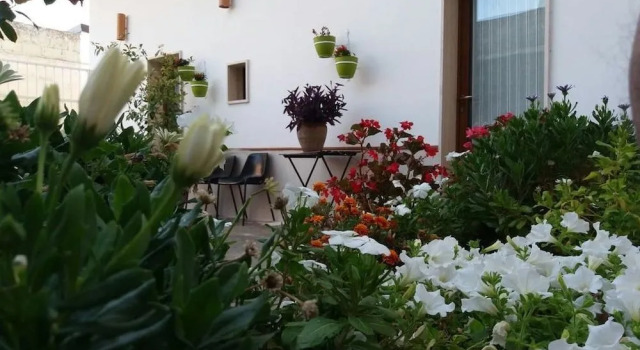 B&B Colle Carro, Buchen Sie Bed & Breakfast Hotels in Metropolitanstadt Bari mit Parkplatz, Parkplätze