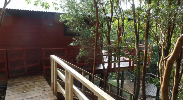 Бунгало Standard Parque Natural Rio Bravo Lodge