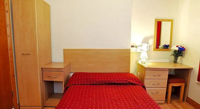 Номер Standard Elmwood Hotel