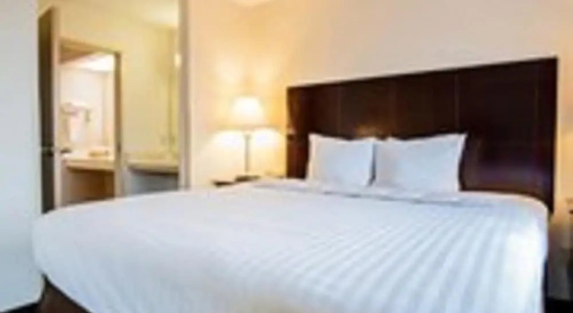 Двухместный номер Standard Greystone Inn & Suites