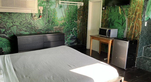 Номер Standard Desert Moon Motel
