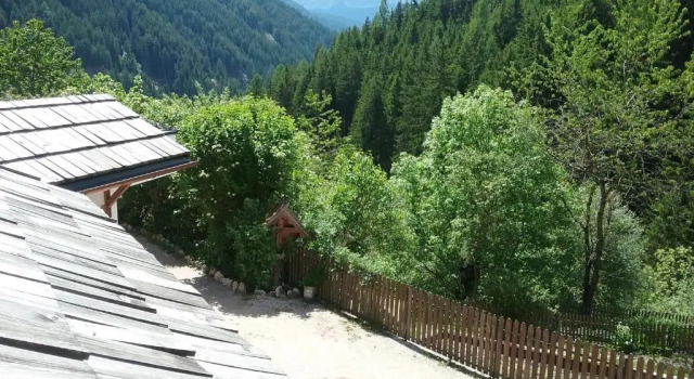 Lüch da Morgnun