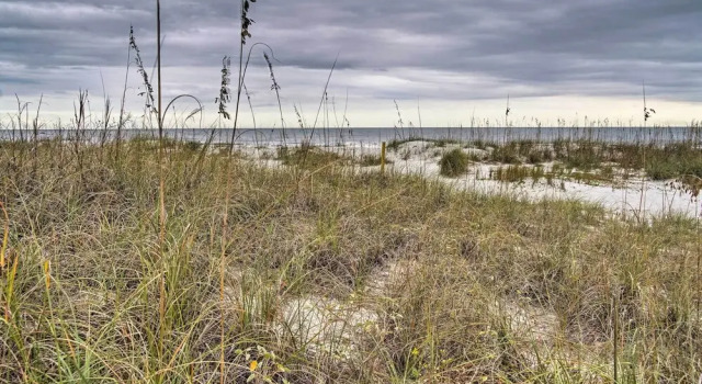Walk to Folly Field Beach: Hilton Head Condo