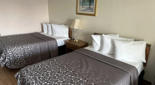 Номер Economy THE FLORIDIAN INN