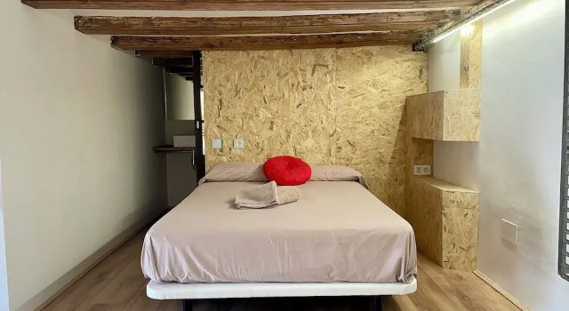 Номер Standard Barcelona Classic Plaza Real Apartments