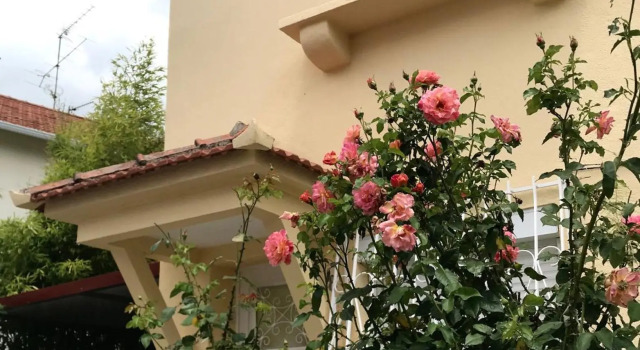 A casa do bairro, Buchen Sie Hotel Lissabon Estremadura