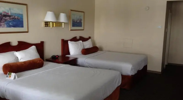 Номер Standard Knights Inn Lethbridge
