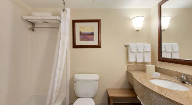 Четырёхместный номер Standard Hilton Garden Inn Fredericksburg