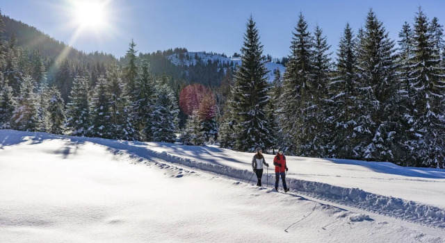 Апартаменты Ski-in, Ski-out Brunner Apartment, Wildschonau