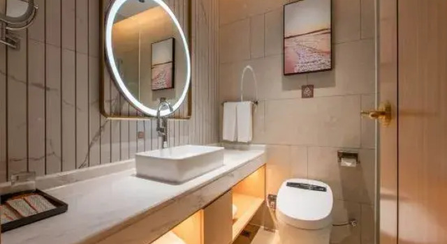 Люкс Superior Vienna Hotel Guangzhou Nanpu Station Branch