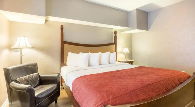 Номер Standard Hotel Universel