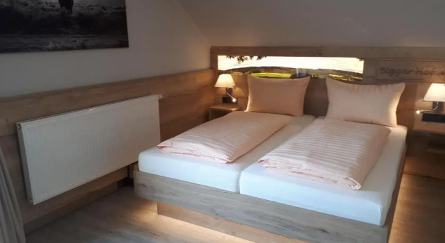 Полулюкс Hotel Bigger Hof - Wirtshaus Platzhirsch am Jahnplatz