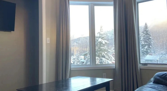 Deluxe Apartment Ski Inn