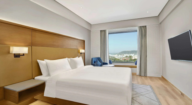 Люкс Executive Radisson Hotel Nathdwara