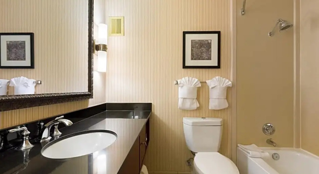 Люкс Holiday Inn Sacramento Downtown-Arena by IHG