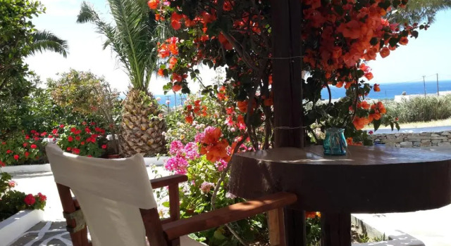 Студия Tinos Peristerionas