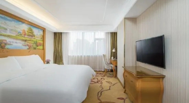 Двухместный люкс Deluxe Vienna Classic Hotel