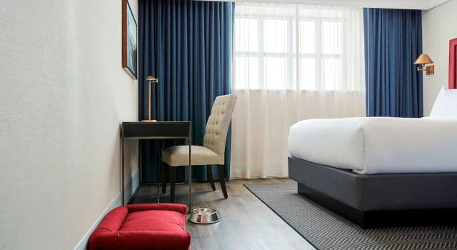 Двухместный люкс The Wick, Hudson, a Tribute Portfolio Hotel