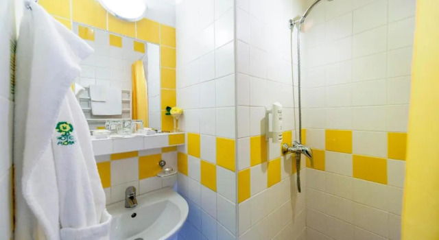 Двухместный номер Standard Hotel Flóra