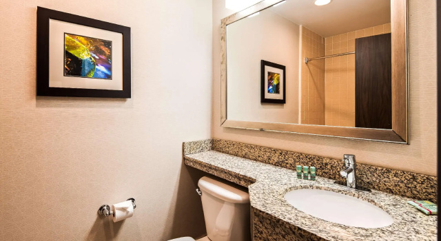 Двухместный номер Standard Best Western Raleigh North-Downtown