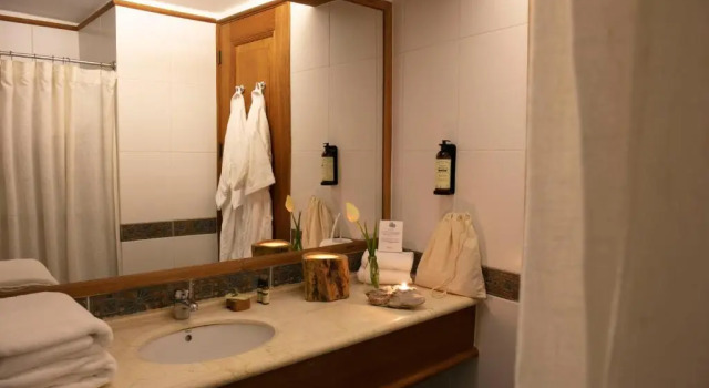 Одноместный номер Standard Termas Puyehue Wellness & Spa Resort