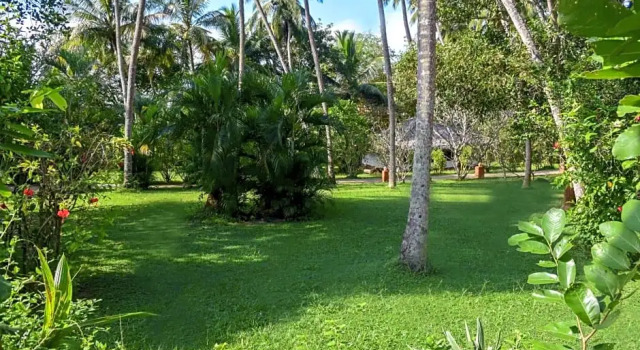 Двухместный номер Economy Eva Lanka Hotel