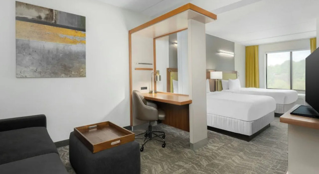 Etværelseslejlighed SpringHill Suites Athens
