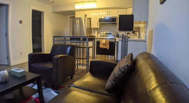 Люкс Standard Modern & Luxurious Suites in Surrey
