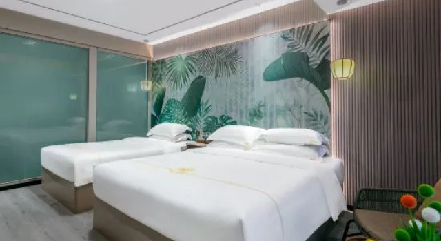 Люкс Comfort Guzhen Impression Hotel
