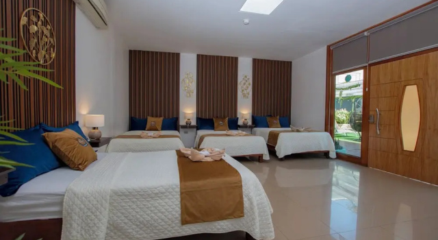 Четырёхместный номер Standard Blue Marlin Galápagos