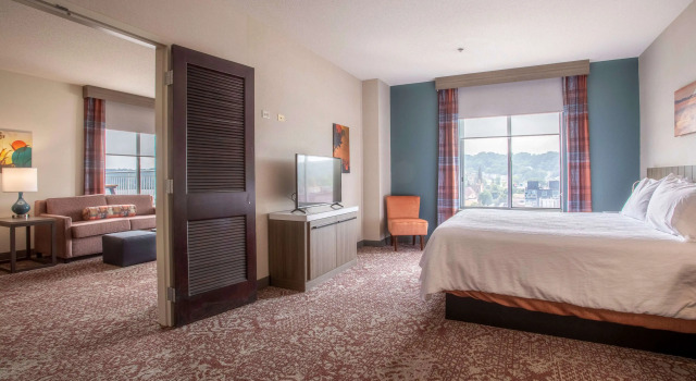 Hilton Garden Inn Mankato Downtown
