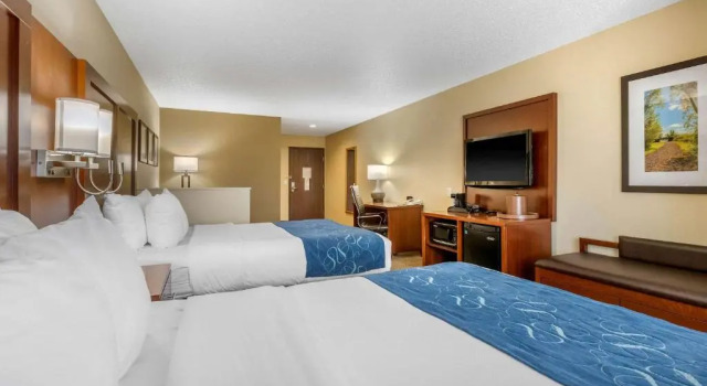 Номер Standard Comfort Suites Cedar Falls Industrial Park