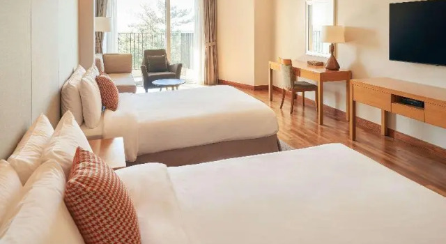 Двухместный номер Standard с балконом и с видом на горы Mercure Ambassador Jeju