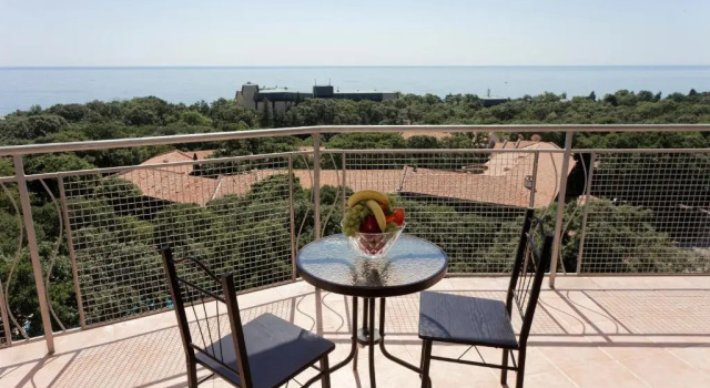 Двухместный номер Standard с балконом и с частичным видом на море Hotel Elena 24h. - Все включено