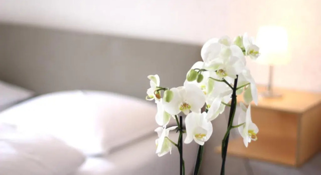 Номер Standard Hotel Zollhaus