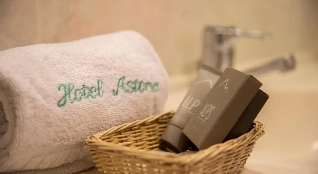 Трёхместный номер Standard с балконом и с видом на горы Hotel Astoria