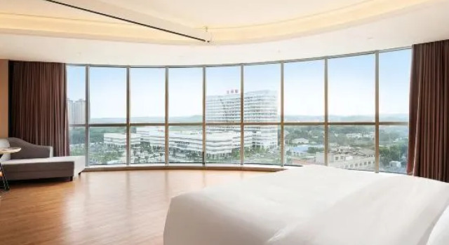 Люкс Deluxe Venus International Hotel