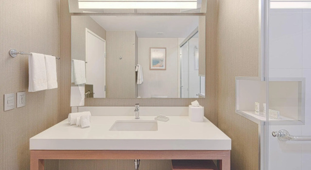 Camera doppia Standard Courtyard by Marriott Saltillo