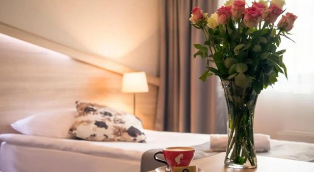 Двухместный номер Standard Hotel Dolenjc