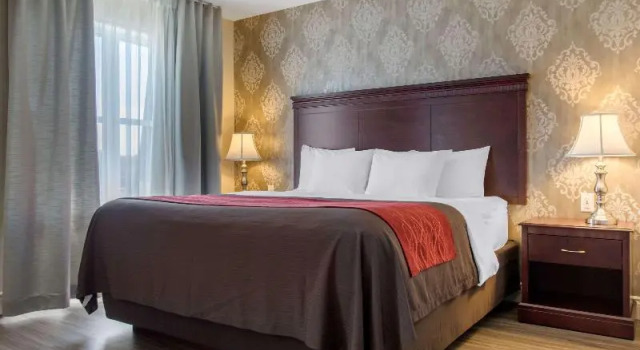 Люкс Standard Comfort Inn & Suites