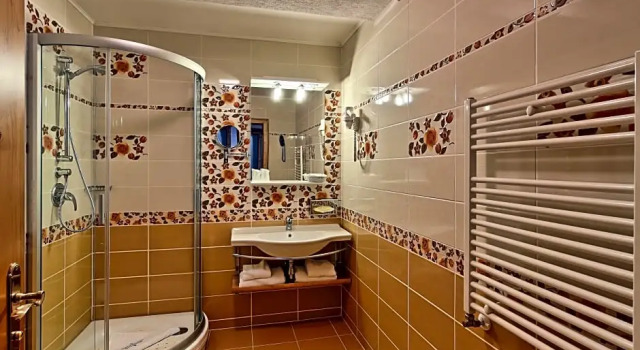Одноместный полулюкс Mercure Sighisoara Binderbubi Hotel & Spa