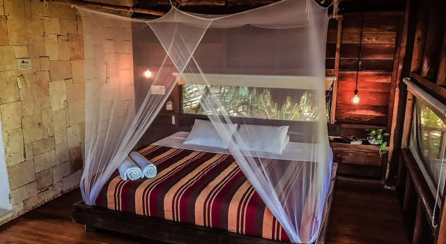 Vida Silvestre Tulum