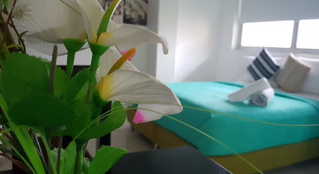 Двухместный номер Deluxe Hotel Sun River