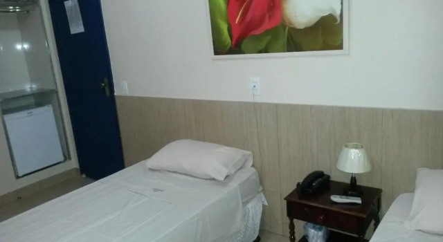 Двухместный номер Standard Parque Hotel