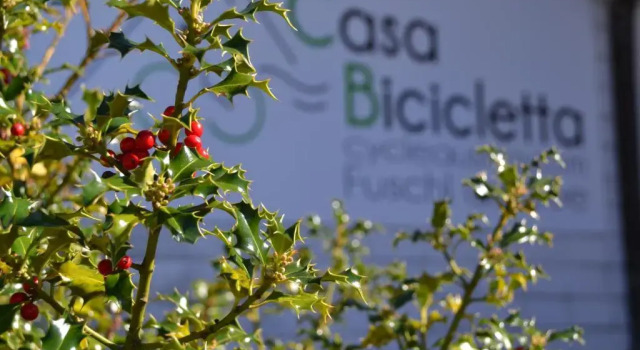 Апартаменты Casa Bicicletta