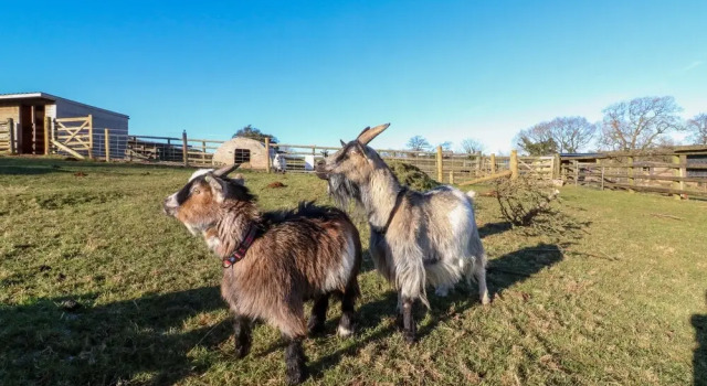 Langdale Lodge, Забронировать Отель Отели Dartmoor 3 звезды, 3*