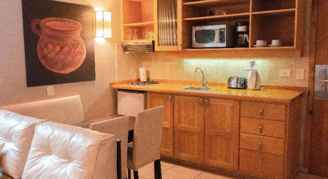 Апартаменты c 1 комнатой ONA Apart Hotel and Spa