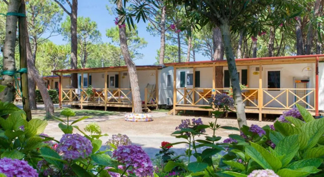 Номер Deluxe Vela Blu Camping Village